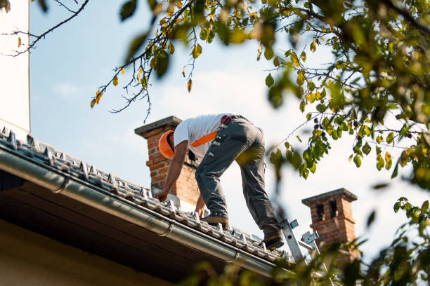 Best Roof Waterproofing  in Troy, IL